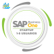 SAP Business ONE 1 a 5 usuarios