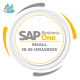 SAP business ONE