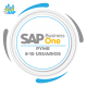 SAP Business One para pequeñas empresas